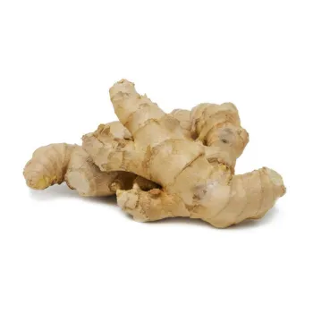 Ginger (5)-2222071-96353.webp